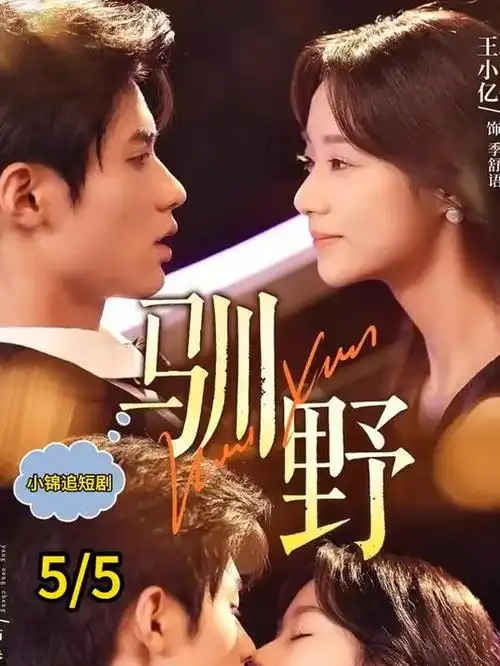 总裁的账本 短剧免费观看